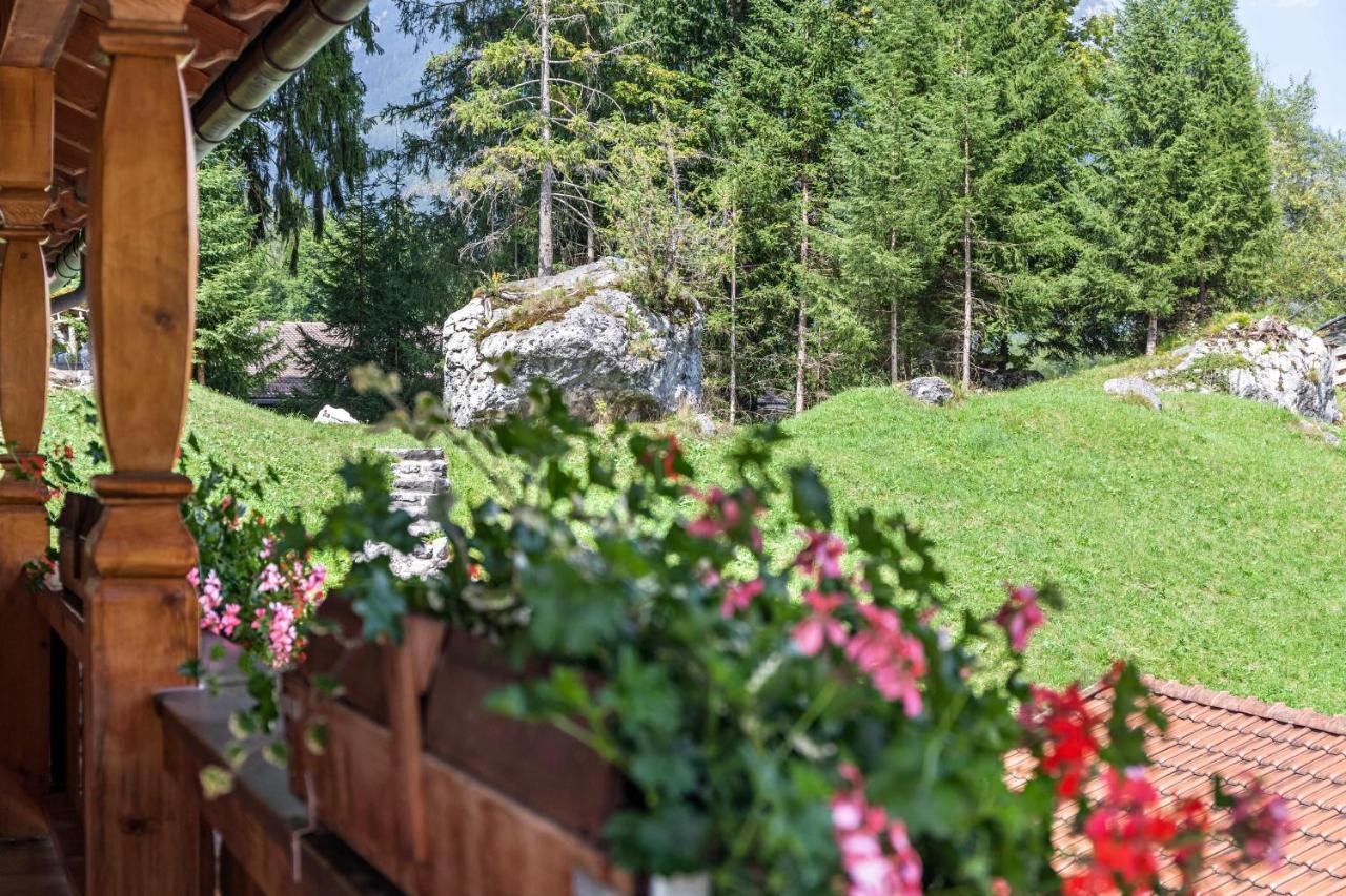 Ferienwohnung Edelweiss 格赖瑙 外观 照片